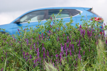 Fototapety na wymiar - Fototapeta24.pl