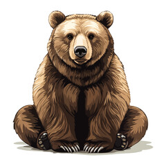 bear, animal, vector, transparent background