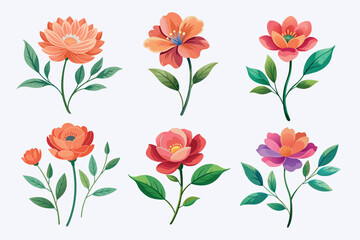 A beautiful set of 6 colorful, hand-drawn floral illustrations featuring elegant flowers and lush green leaves. Perfect for wedding invitations, greeting cards, branding, scrapbooking, and spring-them
