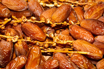 Close-up of a cluster of shiny, amber-colored Deglet Nour dates still attached to their thin, light brown stems. Dried fruit.