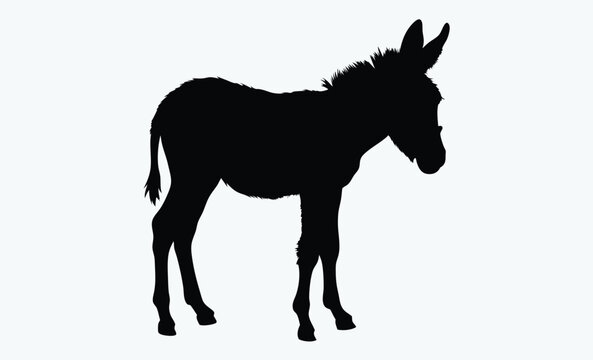 recommend clip art:  Donkey silhouette, donkey black silhouette illustration isolated on a white background 
