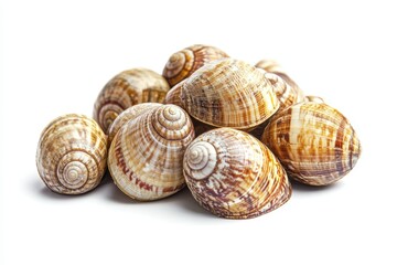 Edible land snails