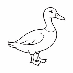 Obraz premium Mallard vector art illustration.