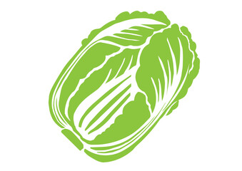 レトロな手描きの野菜のイラスト。白菜のイラスト