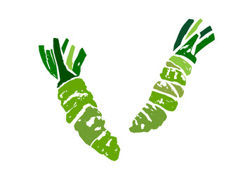 レトロな手描きのわさびのイラスト。山葵