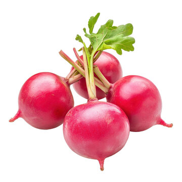 Fresh rambi rambi on isolated Transparent background showcasing vibrant color and natural details, Rambi rambi isolated on PNG background