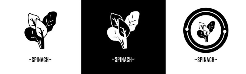 Spinach icon set. Collection of icon. Stock vector.