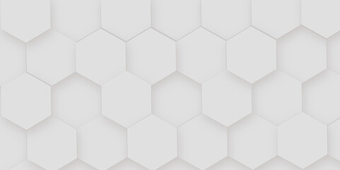 Abstract Hexagon white background and shadow. Abstract background design with white hexagon and Abstract. Hexagon. Vector.