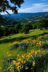 Fototapeta premium Vibrant wildflowers cover the hillside under blue skies