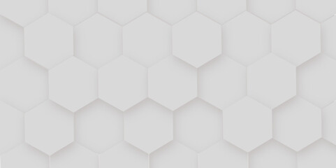 Abstract Hexagon white background and shadow. Abstract background design with white hexagon and Abstract. Hexagon. Vector.