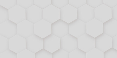 Abstract Hexagon white background and shadow. Abstract background design with white hexagon and Abstract. Hexagon. Vector.