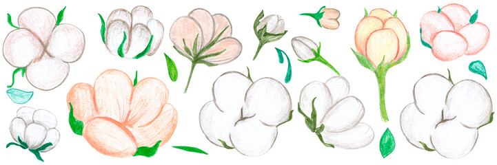 beige light cotton flower with green leaves, raster hand drawing with colored pencils, decorative element. white background