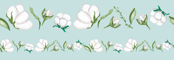 cotton flowers on a light green background, raster hand drawing with colored pencils, seamless pattern, horizontal border