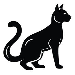 black cat vector illustration