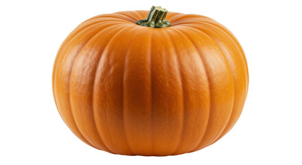 Isolated Orange Pumpkin