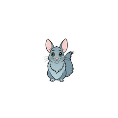 Chinchilla on white background