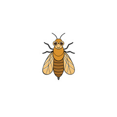 Cicada insect on white background