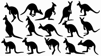 set of kangaroo silhouette vector on white background