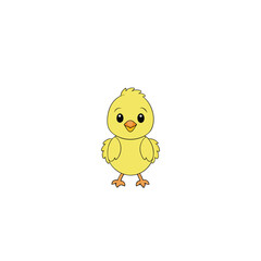 Newborn chick on white background