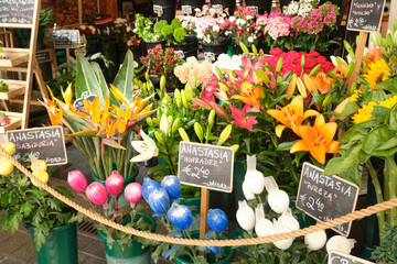 Colorful Flower Stall with Symbolic Labels in European Market