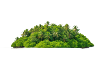 Lush tropical island with vibrant greenery and palm trees for vacation and relaxation purposes