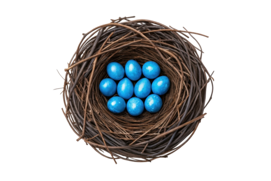 Blue eggs nestled in a natural nest create a vibrant spring display for festive occasions and seasonal decor