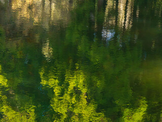湖水に木々と空が反射する11