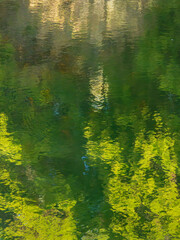 湖水に木々と空が反射する12