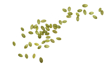 Pumpkin seeds flying isolated on white background