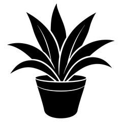 Vibrant Bromeliad: A Lush Indoor Plant, Exotic Beauty, Home Decor, Tropical Foliage, Houseplant     