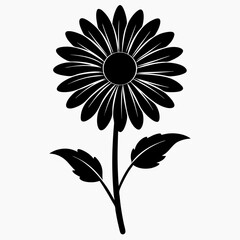 Daisy vector black silhouette on white background