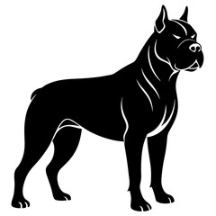 Obraz premium Majestic Cane Corso: Powerful, Loyal, and Elegant Breed. A Stunning Portrait of Canine Majesty. dog