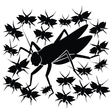 black grasshopper surrounded by insects clip art preview