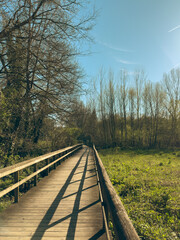 Fototapeta premium A wooden walkway with railings extends through a bright, early spring landscape alongside the Uima River in Santa Maria da Feira, Portugal under a clear sky
