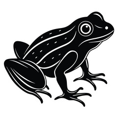 Cute green amphibian isolated on white