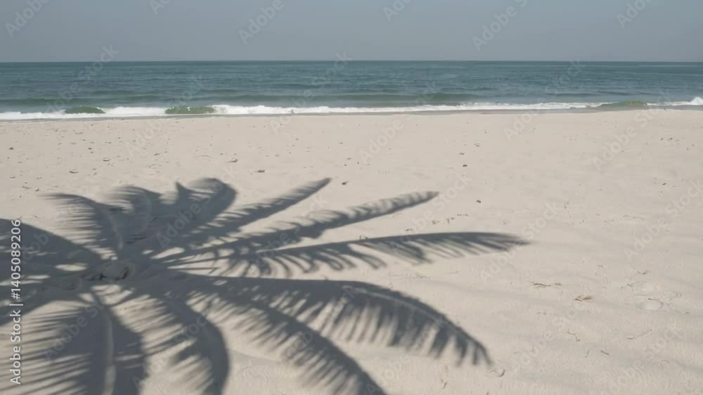 Poster sunlight casting palm tree shadow dancing across pristine white sand while gentle waves caressing tr