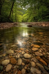 Obraz premium A tranquil river flowing through a lush green forest environment