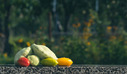 Still life of ripe vegetables against the background of nature