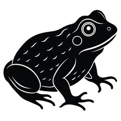 Let me know if you'd like variations based on a different focus—like more emphasis on the mushrooms or the fashion aspect