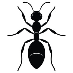 ant vector