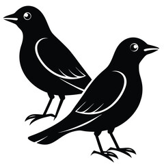 Silhouette of a Dove Symbolizing Peace and Freedom in Flight