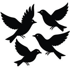 Silhouette of a Dove in Flight Symbolizing Peace and Freedom
