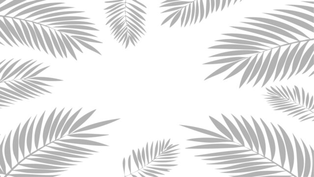Feuilles de palmier grises en PNG transparent : motif tropical &eacute;l&eacute;gant pour design, cadre naturel et superposition facile