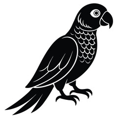 Vector black owl silhouette on branch, wild bird illustration