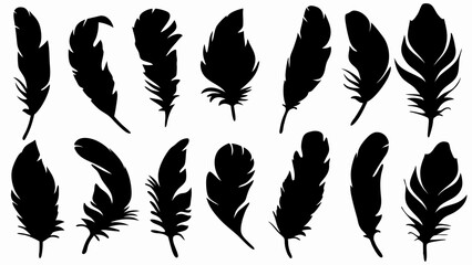 set of feather silhouette vector on white background
