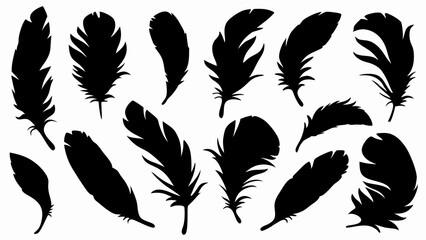 set of feather silhouette vector on white background