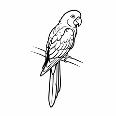 Fototapeta premium Elegant Line Art Parrot Illustration Tropical Bird Drawing