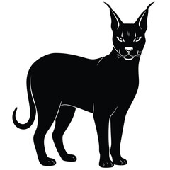 caracal vector cat