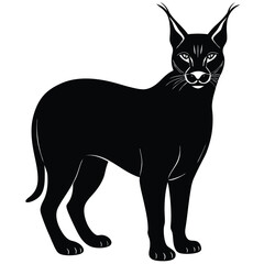 caracal vector cat