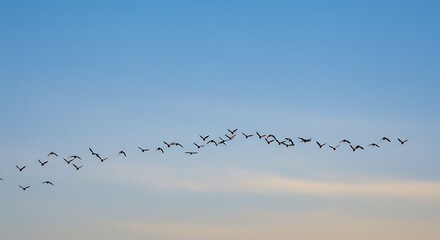 Birds Flying in Formation Against Clear Blue Sky at Dusk